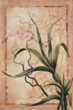 Buy Asian Orchid II at AllPosters.com