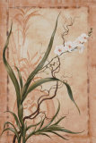 Buy Asian Orchid I at AllPosters.com