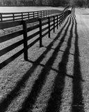 Buy Fences and Shadows, Florida at AllPosters.com