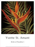 Buy Birds of Paradise I at AllPosters.com