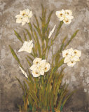 Buy White Harmony I at AllPosters.com