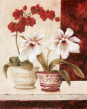 Red Orchids