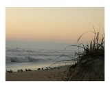 Buy Birds at Sunrise at AllPosters.com