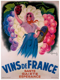Vins de France