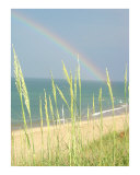 Buy Rainbow at AllPosters.com