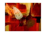 Autumnal Comfort III Photographic Print