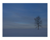 Buy Winter Blues Too at AllPosters.com