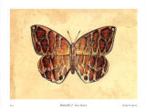 Buy Butterfly I at AllPosters.com