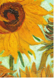 Buy Sunflowers at AllPosters.com