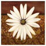White Daisy