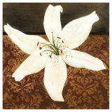 White Lily