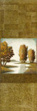 Buy Shadow River at AllPosters.com