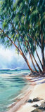 Buy Shady Palm at AllPosters.com