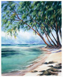 Buy Coral Beach at AllPosters.com