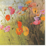Meadow Dance