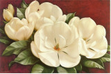 Magnolia Crimson I