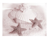 Buy Old Sand at AllPosters.com
