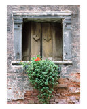 Buy Rustic Wooden Window Shutters at AllPosters.com