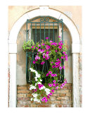 Buy Petunias through Wrought Iron at AllPosters.com