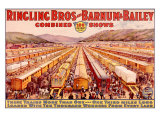 Ringling Brothers and Barnum Bailey Circus: Train