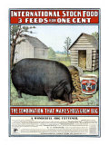 International Hog Swine Feed