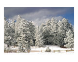Morning Snow 6366