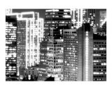 Buy Concrete Jungle at AllPosters.com
