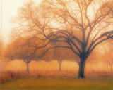 Buy Memory of Trees at AllPosters.com