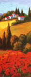 Tuscan Poppies Panel II