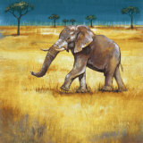 Buy On the Plains III at AllPosters.com