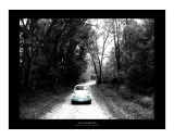 Buy A Bug in the Wilderness at AllPosters.com