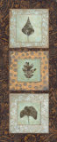 Buy Leaf Study II at AllPosters.com