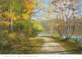 Shadow Lake II