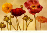 Spring Perfection I