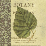 Buy Botany Principles III at AllPosters.com