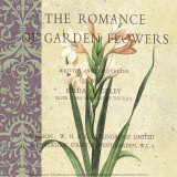 Buy Gladiolus II at AllPosters.com