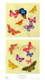 Buy Butterflies Are Free at AllPosters.com