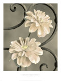 Iron Trellis IV