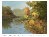Buy Mist over Murphy's Lake at AllPosters.com