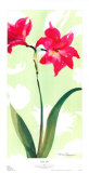Buy Asian Lily at AllPosters.com