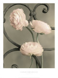 Buy Iron Trellis I at AllPosters.com