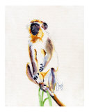 Buy Barbados Green Monkey at AllPosters.com