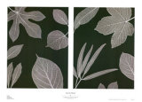 Buy Into the Woods at AllPosters.com