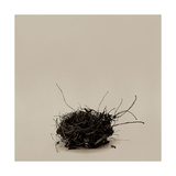 Leeba's Nest