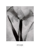 Buy Twins Forever at AllPosters.com