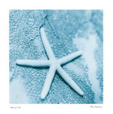 Nautica II
