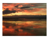 Buy Sunset over Atawhai Estuary at AllPosters.com