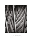 Buy Palm Pattern at AllPosters.com
