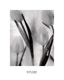 Buy Tulips on Ice at AllPosters.com