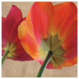 Buy Joy IV at AllPosters.com